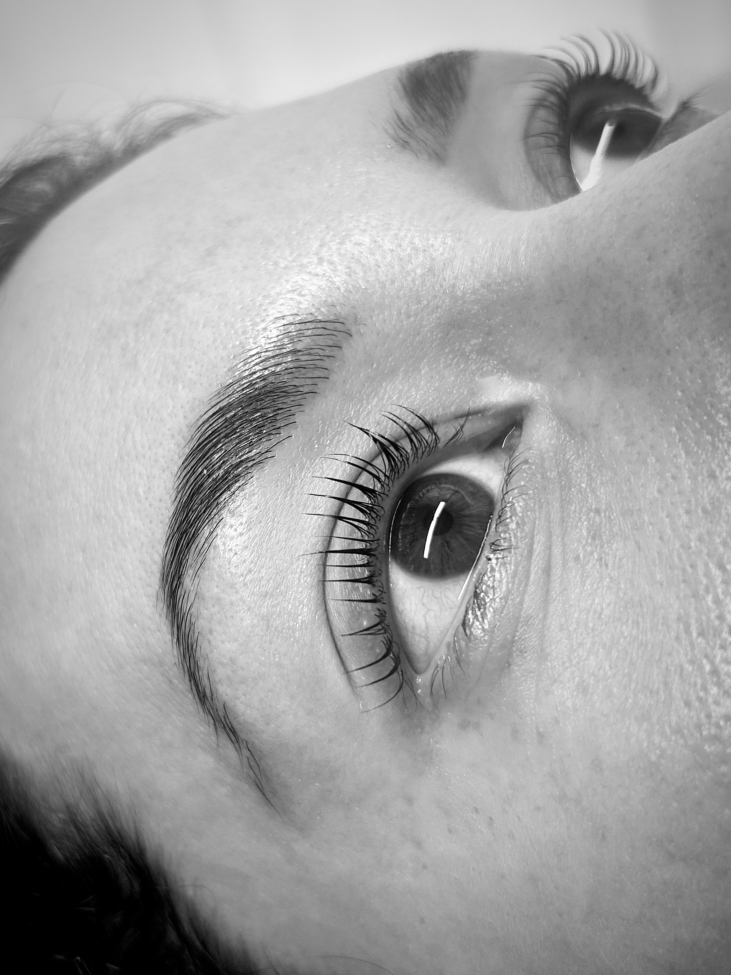 Russian volume lash extensions by ZLD Beauty